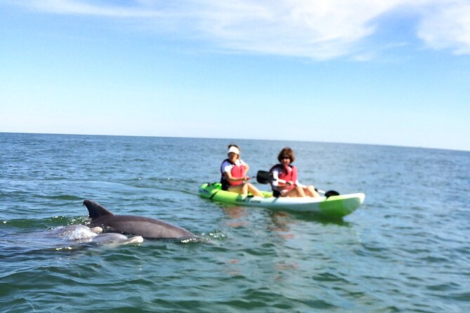 Small Group Dolphin Kayak Eco-Tour - The Route Toward Cape Henry Lighthouses