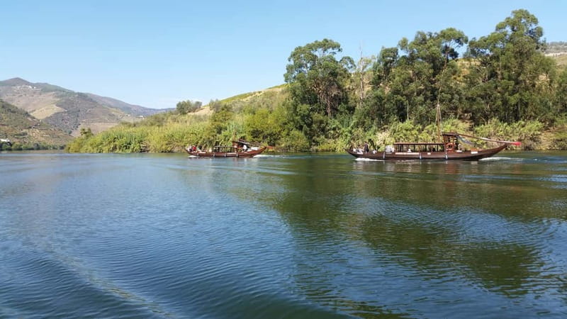 Small Group: Douro Valley Wine Tasting from Porto - Key Points