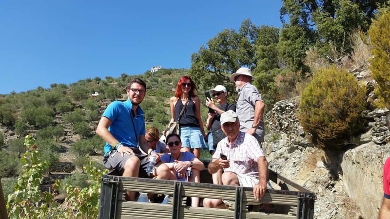 Small Group: Douro Valley Wine Tasting from Porto - Visiting the Douro River and Peso da Régua