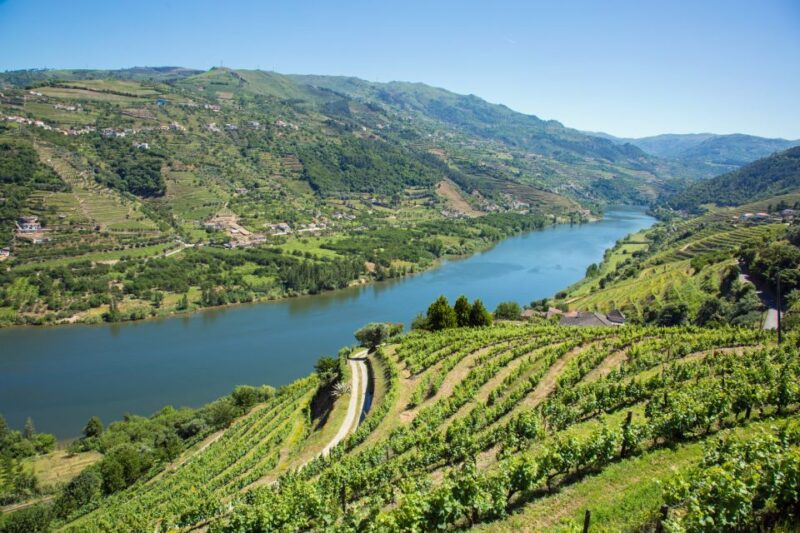 Small Group: Douro Valley Wine Tasting from Porto - Tasting Portugal’s Best at a Family-Run Farm