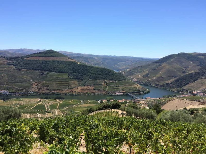 Small Group: Douro Valley Wine Tasting from Porto - Traditional Portuguese Lunch in a Scenic Setting