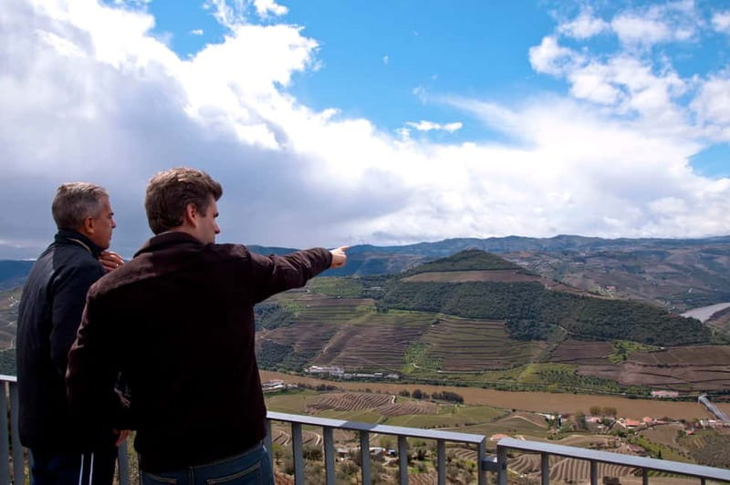 Small Group: Douro Valley Wine Tasting from Porto - Expert Guides and Smooth Logistics