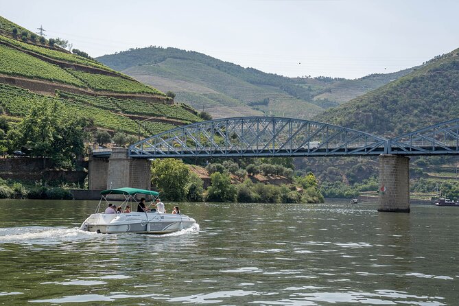 Small Group Douro Valley Wine Tour with Lunch and Cruise - Key Points