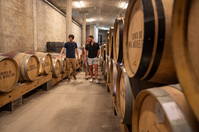 Small Group Douro Valley Wine Tour with Lunch and Cruise - The Guide: Knowledgeable and Personable