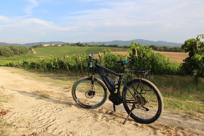 Small Group E-Bike Chianti Tour with farm lunch from Siena - Key Points