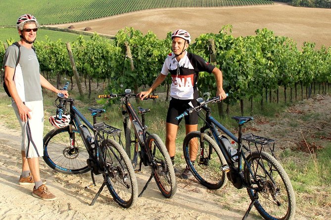 Small Group E-Bike Chianti Tour with farm lunch from Siena - Farm Lunch and Chianti Wine Tasting