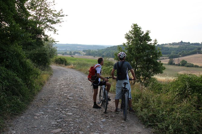 Small Group E-Bike Chianti Tour with farm lunch from Siena - Guide and Group Experience