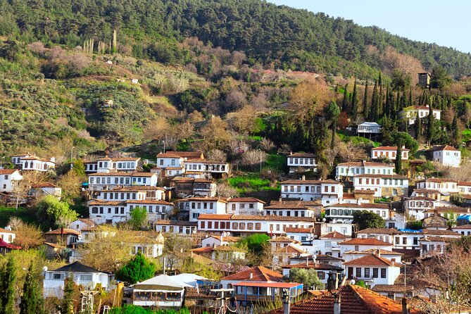 Small Group Ephesus & Sirince Village Tour From Kusadasi / Selcuk Hotels - Exploring the State Agora and the Temple of Hadrian
