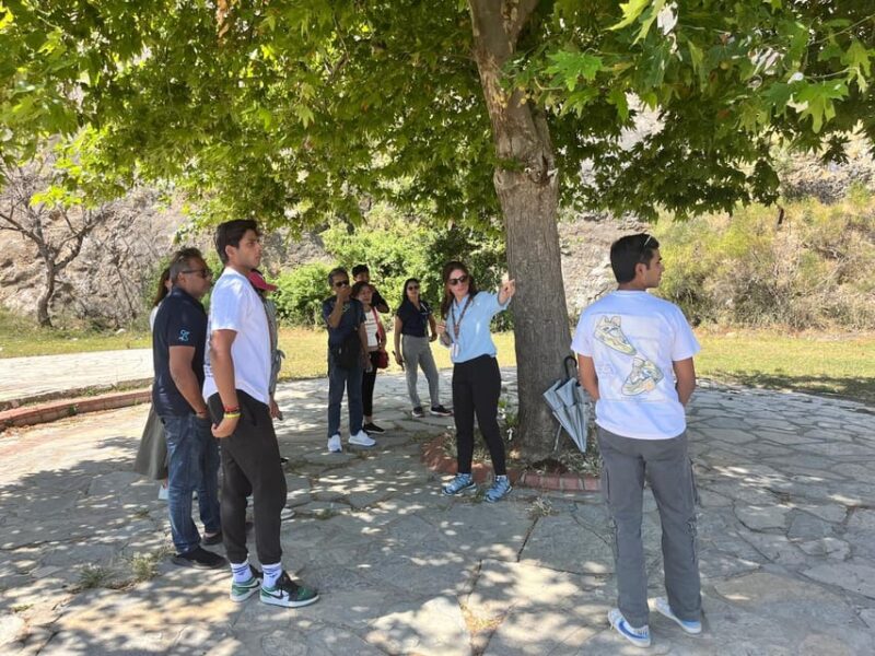 Small Group Ephesus Tour for Cruise Passengers - Discover Ephesus, the House of Virgin Mary, and the Temple of Artemis for Cruise Passengers