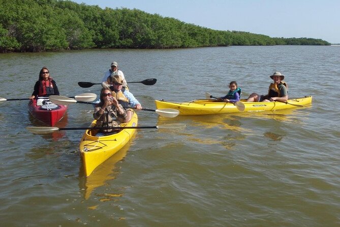 Small-Group Everglades Boating Kayaking and Walking Eco Tour - Explore the Everglades by Boat with a Naturalist Guide