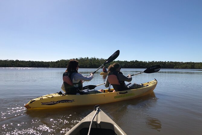 Small-Group Everglades Boating Kayaking and Walking Eco Tour - Weather and Cancellation Policies