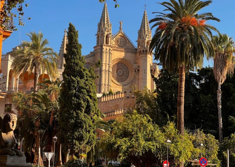 Small group- Exclusive Olive Oil & Wine Tour Mallorca - Exploring a Charming Mallorcan Winery amid Vineyards