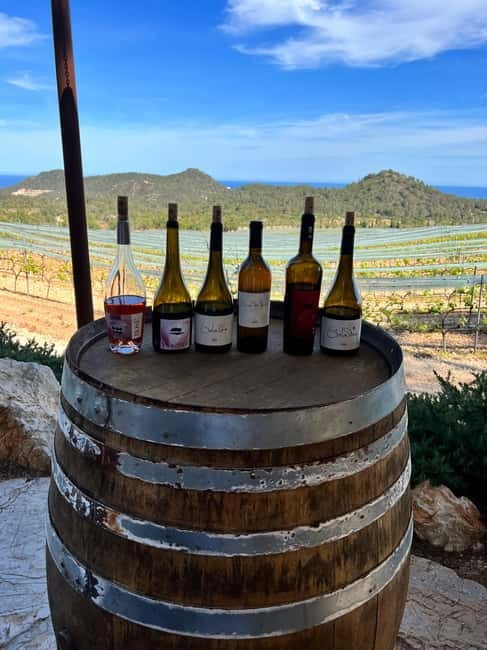 Small group- Exclusive Olive Oil & Wine Tour Mallorca - Personalized Tasting with Local Tapas and Expert Guidance