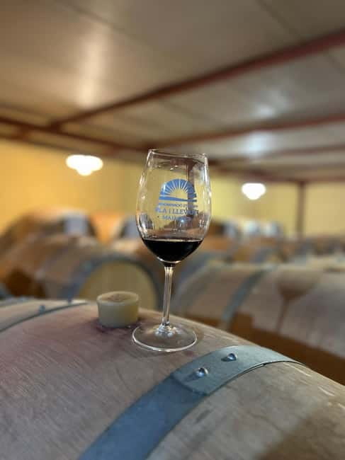 Small group- Exclusive Olive Oil & Wine Tour Mallorca - Interactive and Educational Experience Led by a Passionate Sommelier