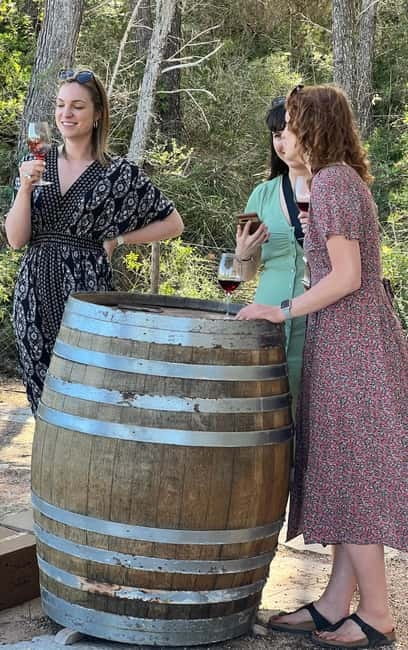 Small group- Exclusive Olive Oil & Wine Tour Mallorca - Practical Details and What to Bring