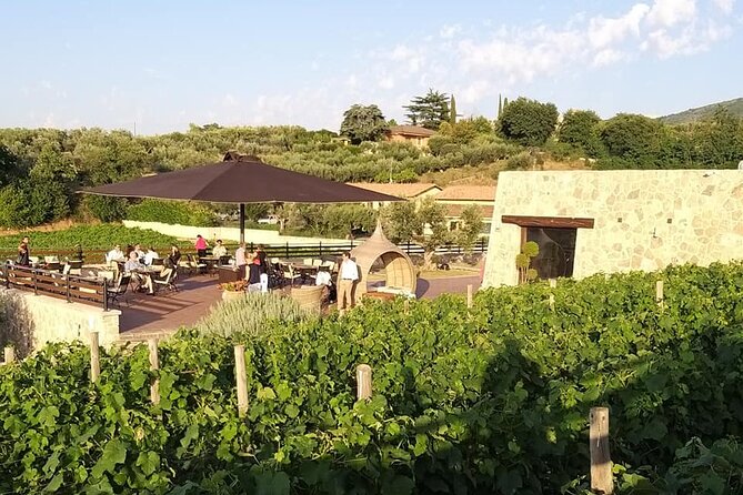 Small-Group Exclusive Winery and Wine Tasting Tour in Frascati - Explore an Intimate Winery Experience Just Outside Rome