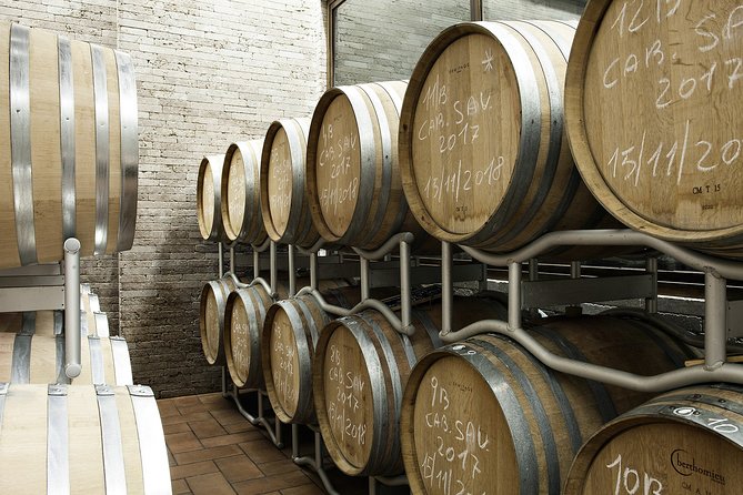 Small-Group Exclusive Winery and Wine Tasting Tour in Frascati - The Expertise of Guide Nina and the Personalized Service