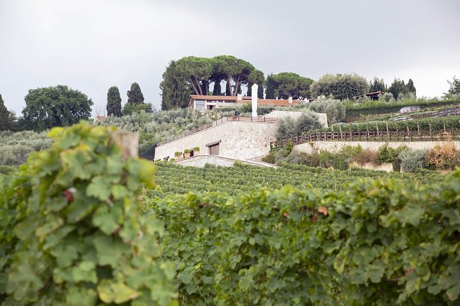 Small-Group Exclusive Winery and Wine Tasting Tour in Frascati - Practical Details: Meeting Point, Timing, and Accessibility