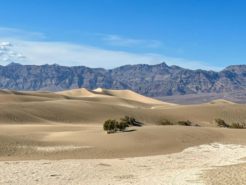 Small Group Family Tour at the Death Valley from Las Vegas - Who Will Enjoy This Tour the Most