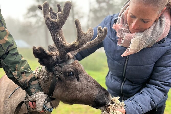 Small Group Fishing, Lunch& Reindeer Farm Visit in the Wilderness - Key Points