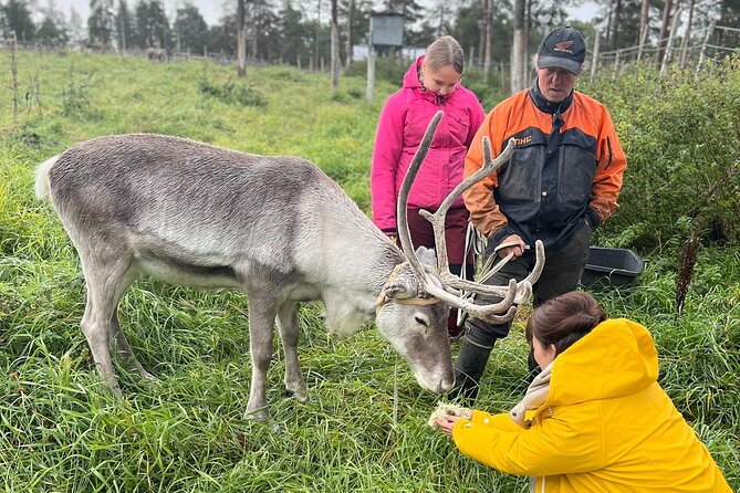 Small Group Fishing, Lunch& Reindeer Farm Visit in the Wilderness - Canoeing in the Wilderness: Connecting with Nature