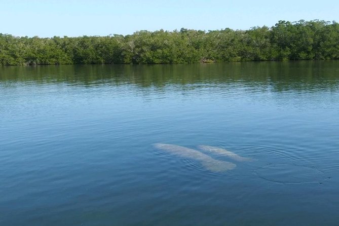 Small Group Florida Keys Eco Tour by Boat - Navigating the Florida Bay on a Small Boat