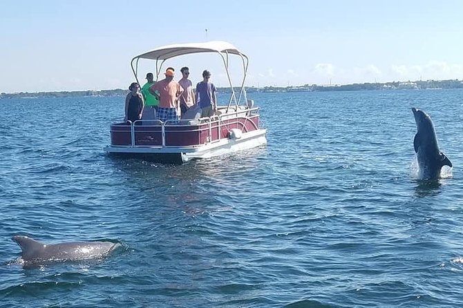 Small Group Florida Keys Eco Tour by Boat - The Experience in Context: Pros and Cons