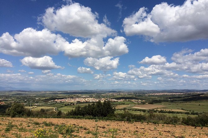 Small-Group Food and Wine Tour from Cagliari - Flexibility and Dietary Options
