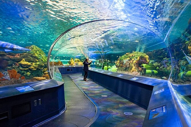 Small Group Four Day Toronto Montreal Ottawa Quebec Tour - Practicalities of the Tour: Logistics and Inclusions