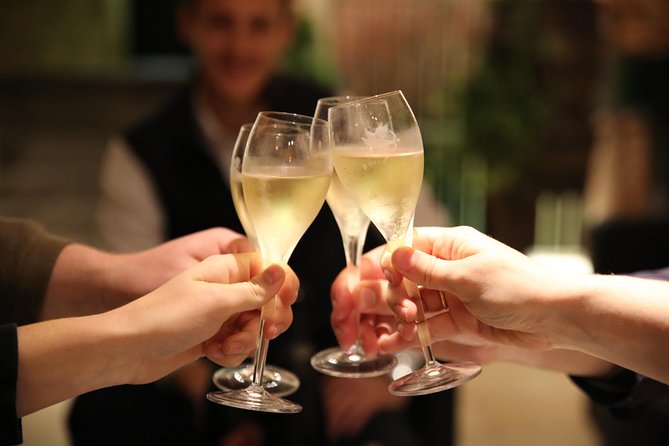 Small Group - Full Day Champagne Tour 3 Small Champagne Growers - The Tour Starts at Reims Cour de la Gare