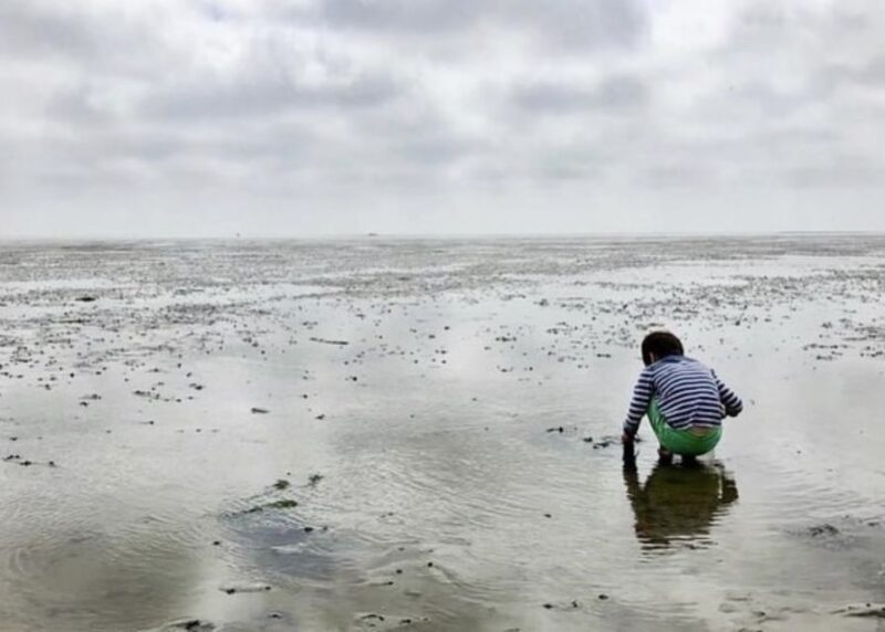 Small group full day island tour to Texel from Amsterdam - Explore Texel’s Beauty on a Full-Day Small Group Tour from Amsterdam