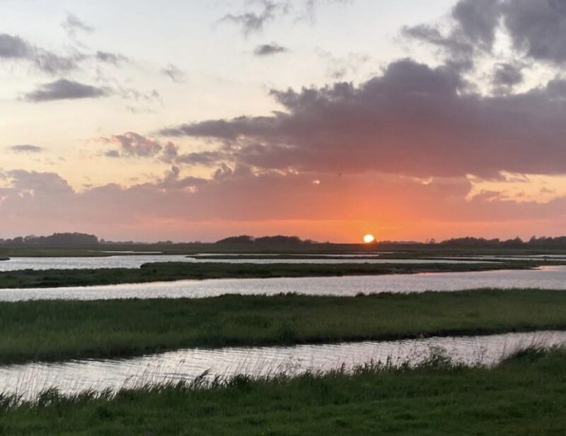 Small group full day island tour to Texel from Amsterdam - Visiting Texel’s National Parks and Beaches