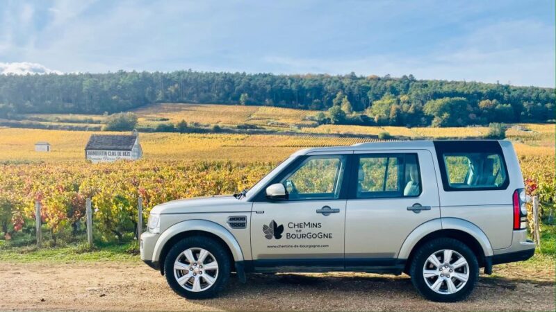 Small group full day tour in the Burgundy vineyards - Key Points