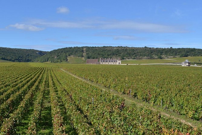 Small-Group Full-Day Tour of Côte de Nuits, Côte de Beaune Vineyards and Beaune Historical District - Key Points