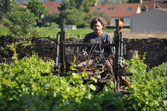 Small-Group Full-Day Tour of Côte de Nuits, Côte de Beaune Vineyards and Beaune Historical District - Beaune’s Historic Center and Free Time for Lunch
