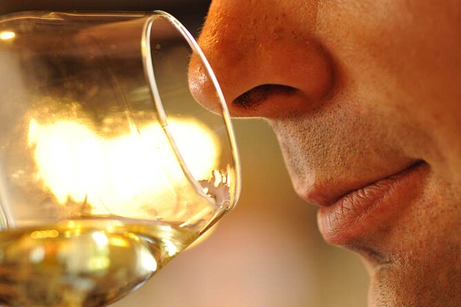 Small-Group Full-Day Tour of Côte de Nuits, Côte de Beaune Vineyards and Beaune Historical District - The Expertise and Personal Touch of Your Guide