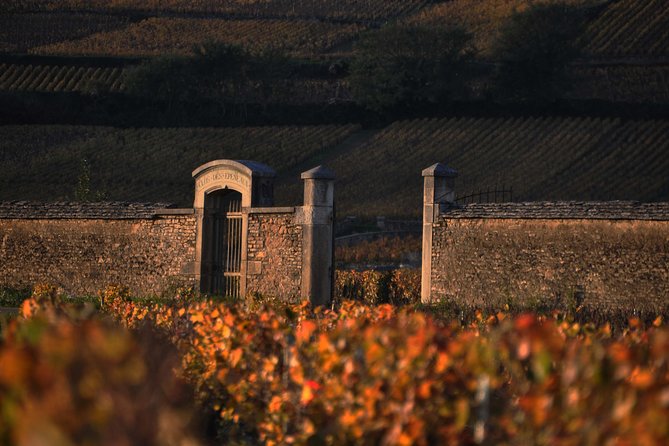 Small-Group Full-Day Tour of Côte de Nuits, Côte de Beaune Vineyards and Beaune Historical District - Practicalities and Group Size