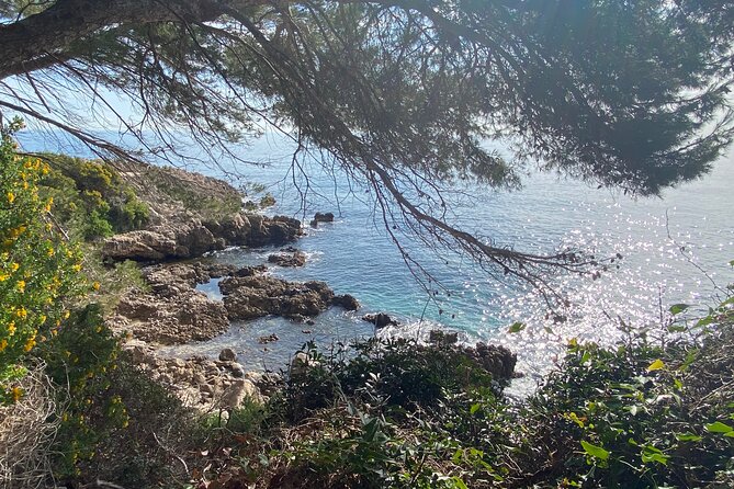 Small Group Full-Day Trip to French Riviera Highlights from Nice - Practical Details and Additional Information