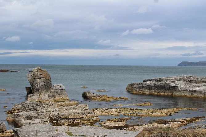 Small Group Giant's Causeway Day Tour from Belfast - The Thrilling Carrick-a-Rede Rope Bridge