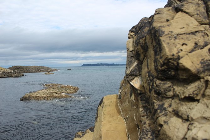 Small Group Giant's Causeway Day Tour from Belfast - Practical Details: Logistics and Comfort