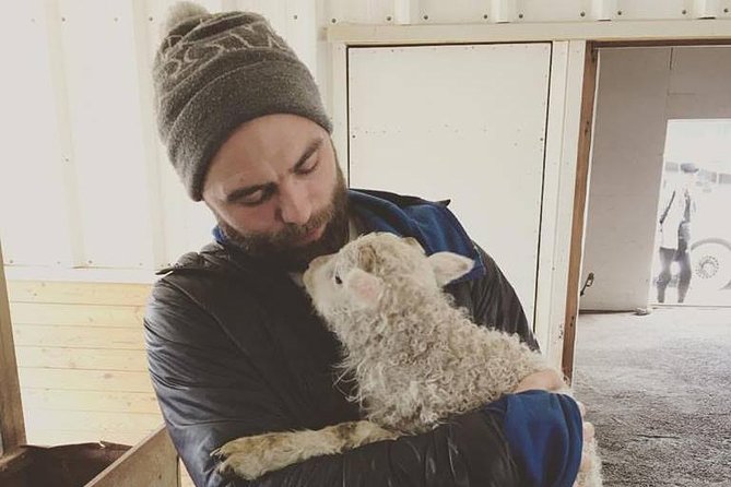 Small-group Golden Circle Classic Tour from Reykjavik - Witnessing the Geysir Eruption