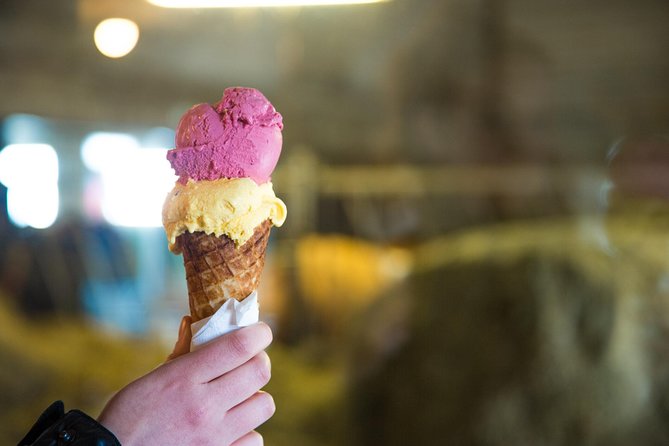 Small-Group Golden Circle Full-Day Tour from Reykjavik - The Experience of the Guide and Small-Group Atmosphere