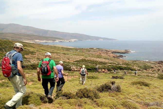 Small-Group Guided Hiking Tour in Andros with picnic on the beach - Discovering the Green Village of Remata