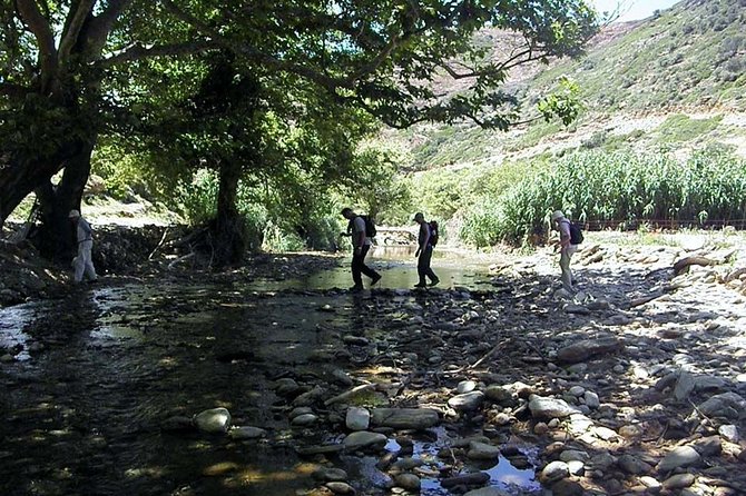 Small-Group Guided Hiking Tour in Andros with picnic on the beach - Practical Details and Group Experience