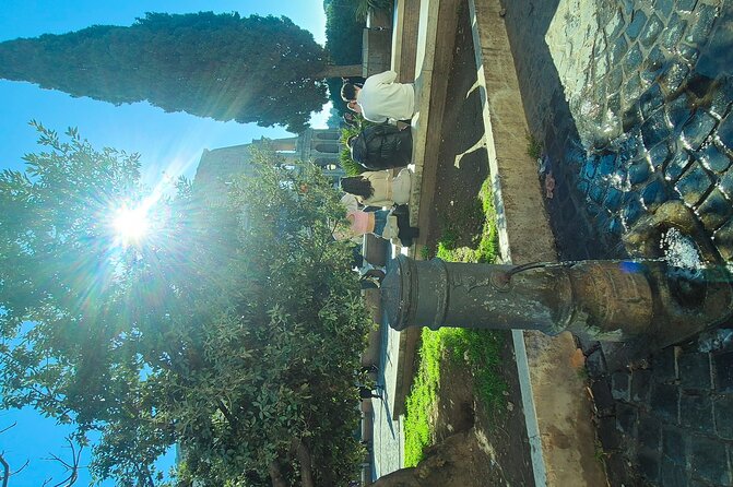 Small Group Guided Tour Colosseum Roman Forum & Palatine Hill - Climbing Palatine Hill for Panoramic Views and Ancient Residences