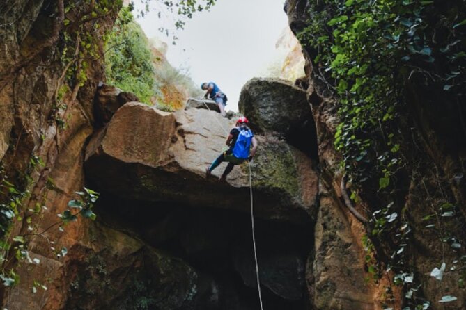 Small-Group Half-Day Canyoning in La Orotava - Equipment and Safety Measures Provided