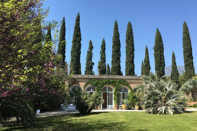 Small-Group Half-Day Châteaux of Montpellier Wine Tour - Reviews Highlighting the Guide and Locations