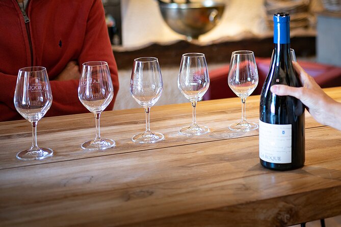 Small-Group Half-Day Languedoc Pic Saint-Loup Wine Tour from Montpellier - Scenic Views and Local Landscape