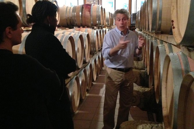Small-Group Half-Day Languedoc Wine and Olive Tour from Montpellier - Insights from a Knowledgeable and Friendly Guide
