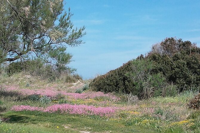 Small Group Half Day Tour of POLIGNANO a MARE and MONOPOLI - Discover the Charm of Polignano a Mare’s Old Town